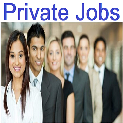 IBM Recruitment 2024 - Apply Online for Document Verification Job 1 Private Jobs